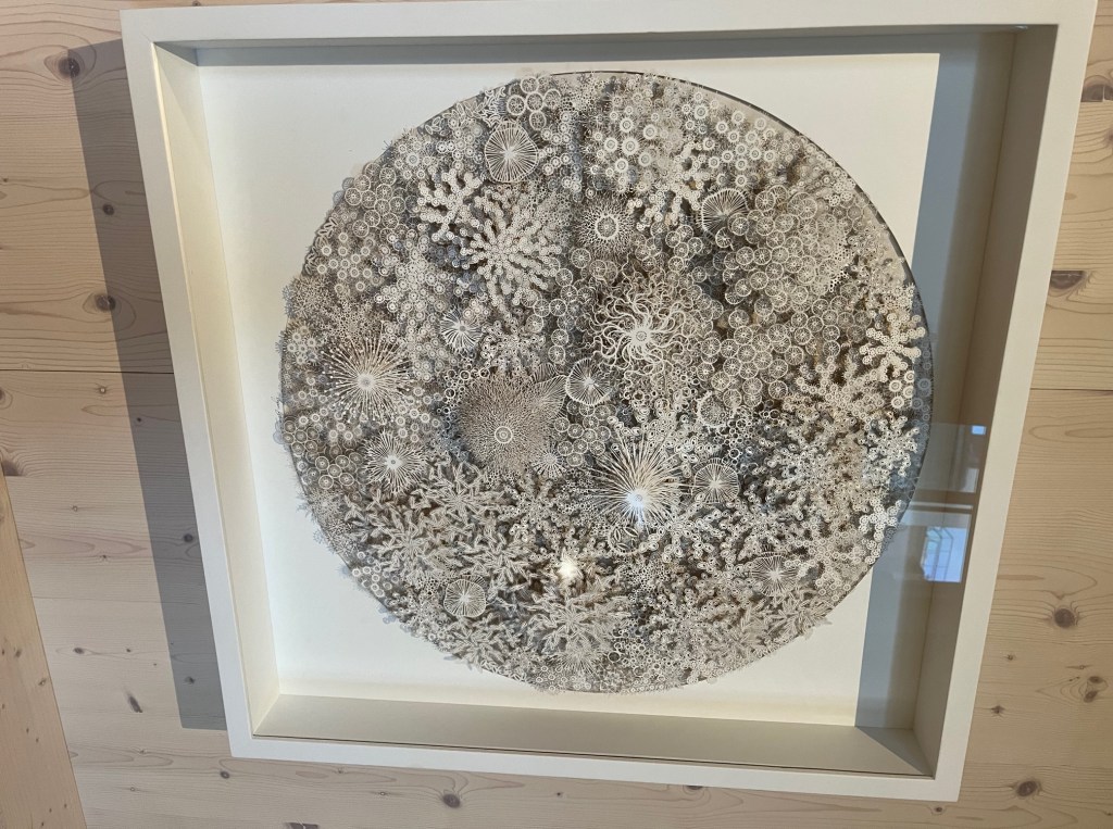Rogan Brown "Magic Circle Variation" laser cut paper, 2018, Wellcome Collection, London. Terrible iPhone photo by Charlie Kirkham